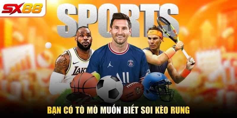 Bạn có tò mò muốn biết soi kèo rung