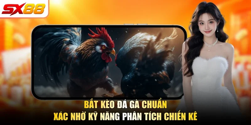 Bắt kèo đá gà chuẩn xác nhờ kỹ năng phân tích chiến kê