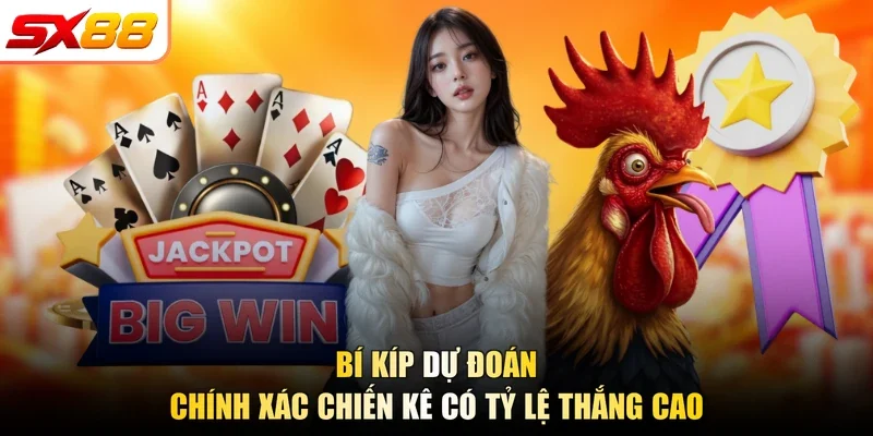 Bí kíp dự đoán chính xác chiến kê có tỷ lệ thắng cao