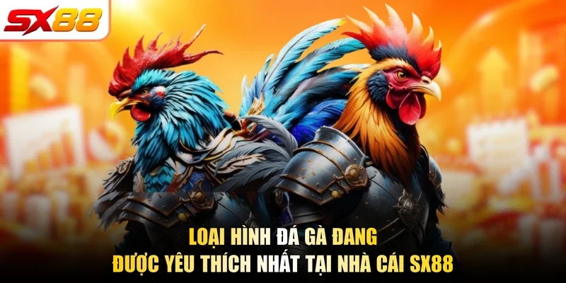 Loại hình đá gà đang được yêu thích nhất tại nhà cái SX88