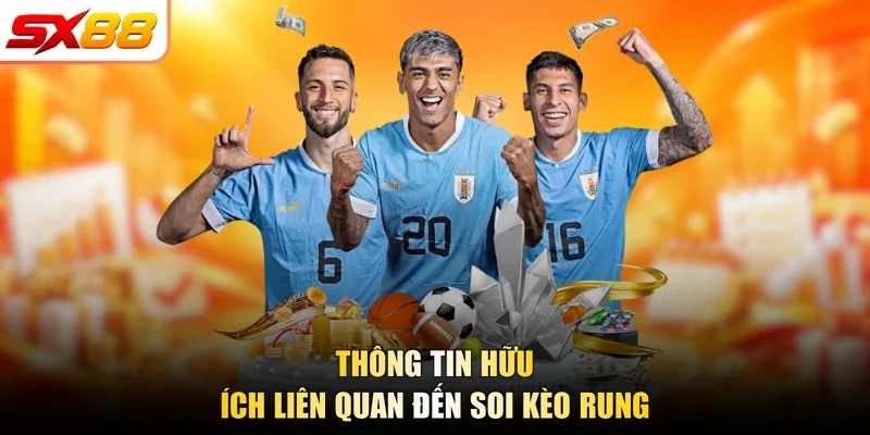 Thông tin hữu ích liên quan đến soi kèo rung